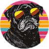 Pug Neon Retro Sunglasses