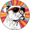 Bulldog mit Sonnenbrillen im Neon-Radial