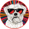 Punk dog with sunglasses