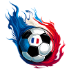 France France Football - Soccer