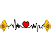 Lancashire Heartbeat Flag