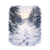 Winterwaldpfad Morgenschein