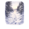 Winterwaldpfad im Schneezauber