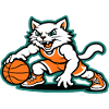 Basketball Cat Dunk