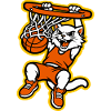Angry Cat Basketball-Dunk-Maskottchen-Design