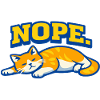 Nope Sleeping Cat Lazy Mood Design