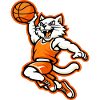 Angry Basketball Cat Slam Dunk Mascot