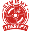Gym Therapy Weight Plate