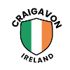 Flag motif of Ireland on shield