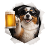 Australian Shepherd Beer