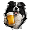 Border Collie Beer