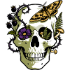 Natura Skull with Flowers and Butterflies