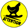 Kids Snowboarding Attention Chicken