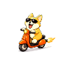 Scooter dog with sunglasses