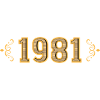 Legend since 1981 retro 1981