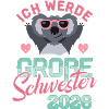 Je serai grande sœur grossesse 2026