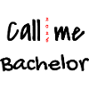 Licence Diplôme 2026