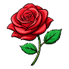 Rose rouge