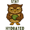 Stay Hydrogenated – Owl with Green Tea