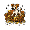 Jack Russell Terrier : Drôle d’Hyperactivité Drôle