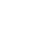 No Kings Krone Skull Widerstand