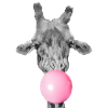 Giraffe Bubble Gum - Modern Funny Animal