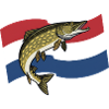 Pike Fishing Netherlands Holland