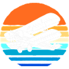 Avion modèle modèle
