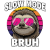 Cool Sloth Slow Mode Bruh Retro