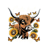 Cute But Moody Scottish Cow