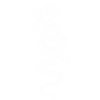 White Dragon on Black Background