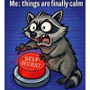 Raccoon Self-Destruct Meme