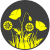 Yellow flowers in a circle