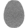 Fingerprint Pattern Noir