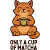 Cat Happiness Matcha Moment