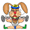 Strong Bunny Gym Cartoon