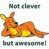 Kangaroo with a cheeky saying