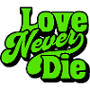 Love Never Die Neon Lettering