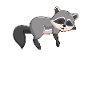 Raccoon Coffee First