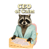 CEO of Calm: Waschbär im Anzug
