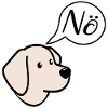 Pas de chiens