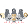 Pigeons Mafia Birds