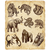 Croquis d’animaux anciens sur parchemin