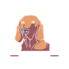 Dog Trainer Therapist Therapy Dog Therapy Dog