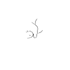 Minimalistische botanische Katze