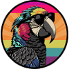 Parrot with sunglasses
