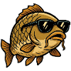 Carp with sunglasses
