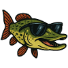 Pike with sunglasses