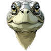Funny turtle head