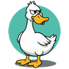 Naughty goose with angry look illustration